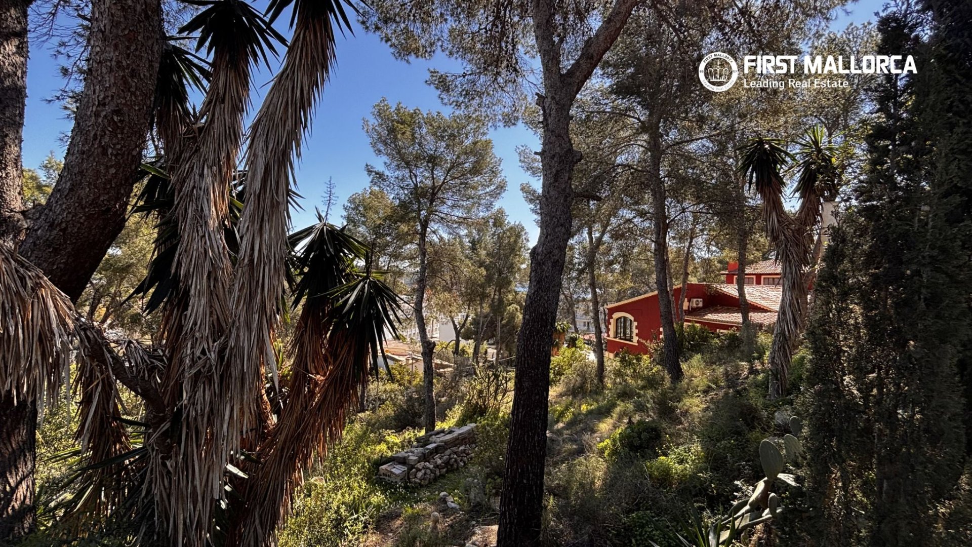 Land plot in Peguera, Mallorca, Spain 1500 sq.m. No. 161048