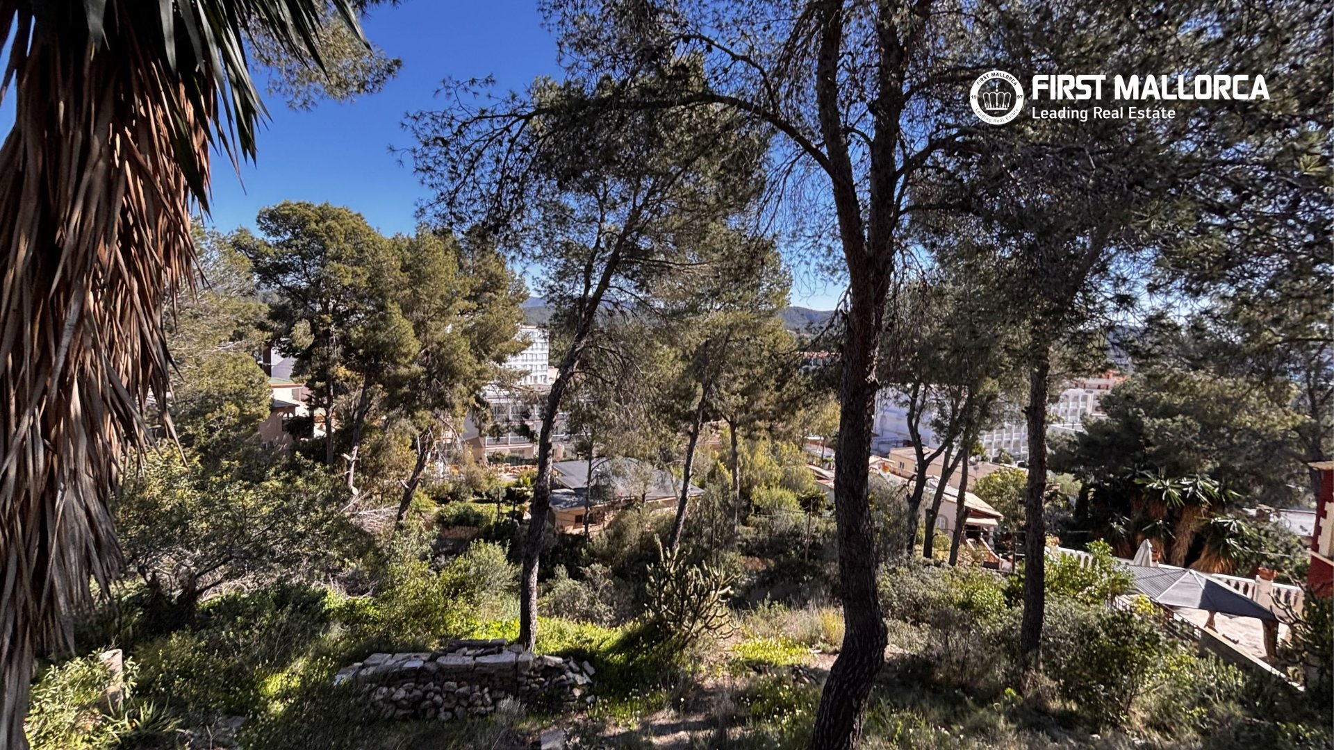 Land plot in Peguera, Mallorca, Spain 1500 sq.m. No. 161048