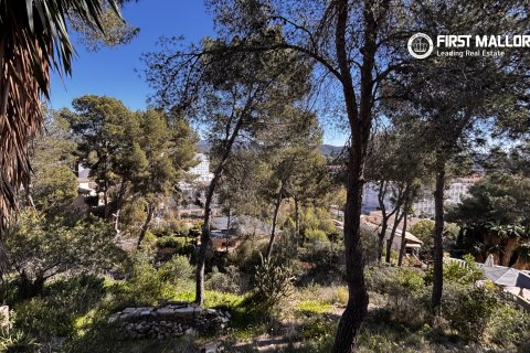 Land plot in Peguera, Mallorca, Spain 1500 sq.m. No. 161048