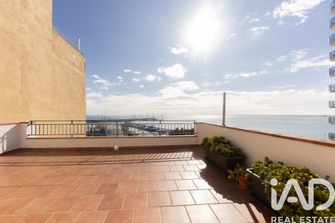 Commercial property in L'Ampolla, Tarragona, Spain 599 sq.m. No. 172693