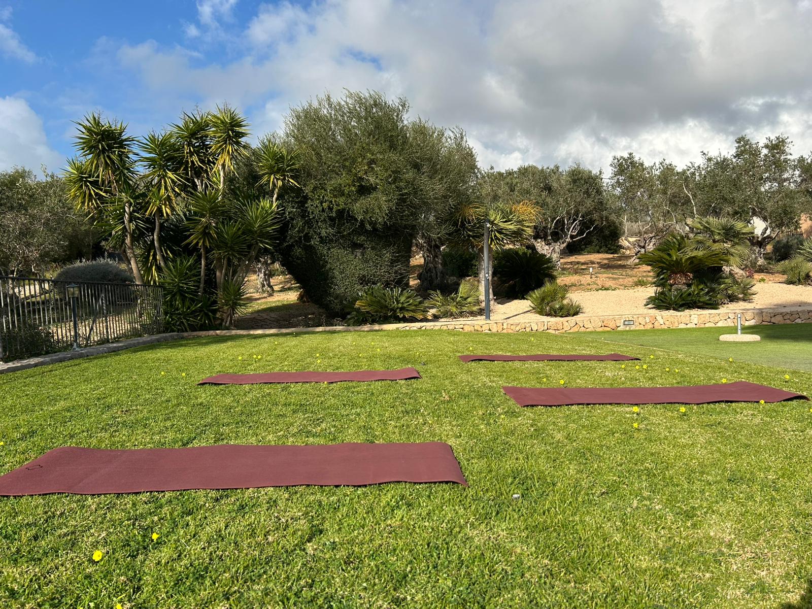 Finca in Puntiro, Mallorca, Spain 4 bedrooms, 757 sq.m. No. 52413