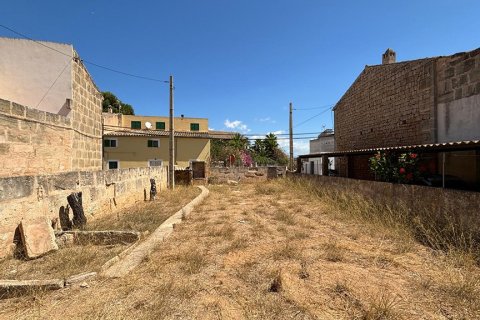 Land plot in Ses Salines, Mallorca, Spain No. 143406