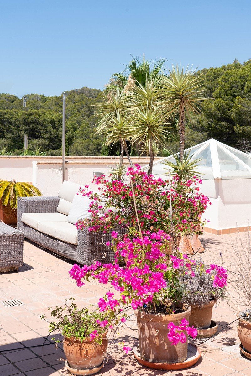 Wohnung in Mallorca, Spanien 4 Schlafzimmer, 253 m2 Nr. 143408