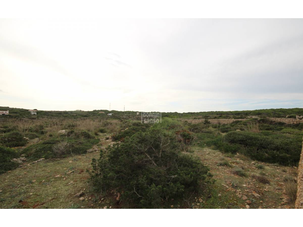 Land plot in Ciutadella De Menorca, Menorca, Spain No. 65305