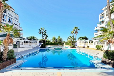 Apartment in La Mata, Alicante, Spain 1 bedroom, 45 sq.m. No. 139716