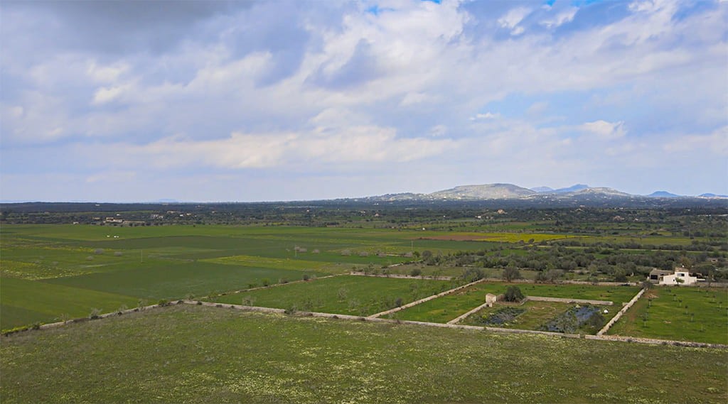 Huvila Santanyi, Mallorca, Espanja 6 makuuhuonetta, 249 m2 No. 148210