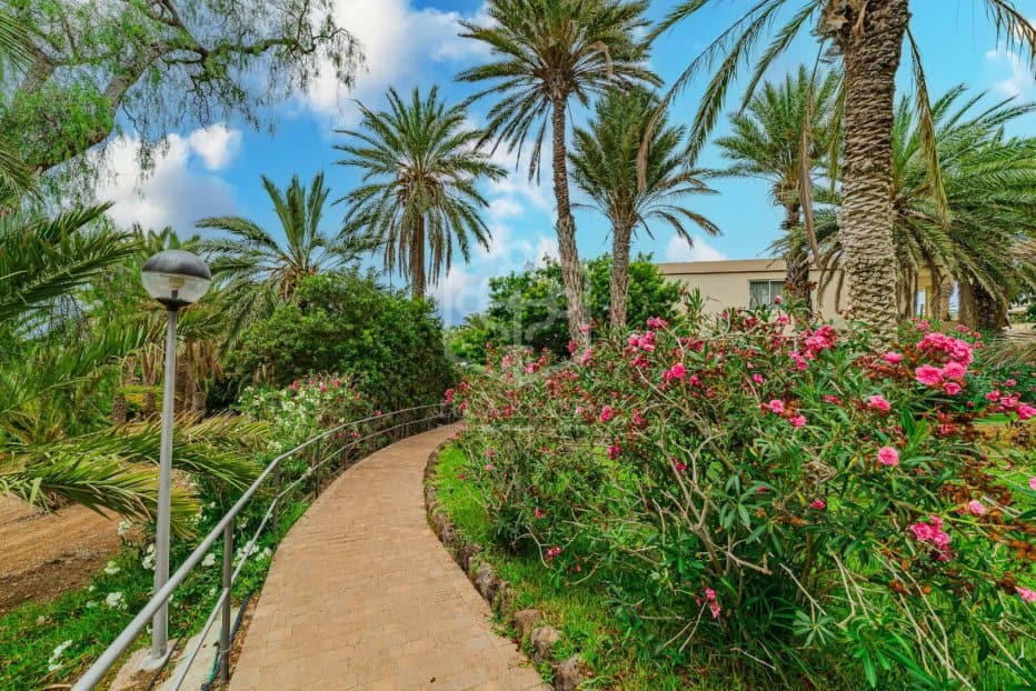 Appartamento a Adeje, Tenerife, Spagna 3 camere da letto, 495 mq. N° 154458