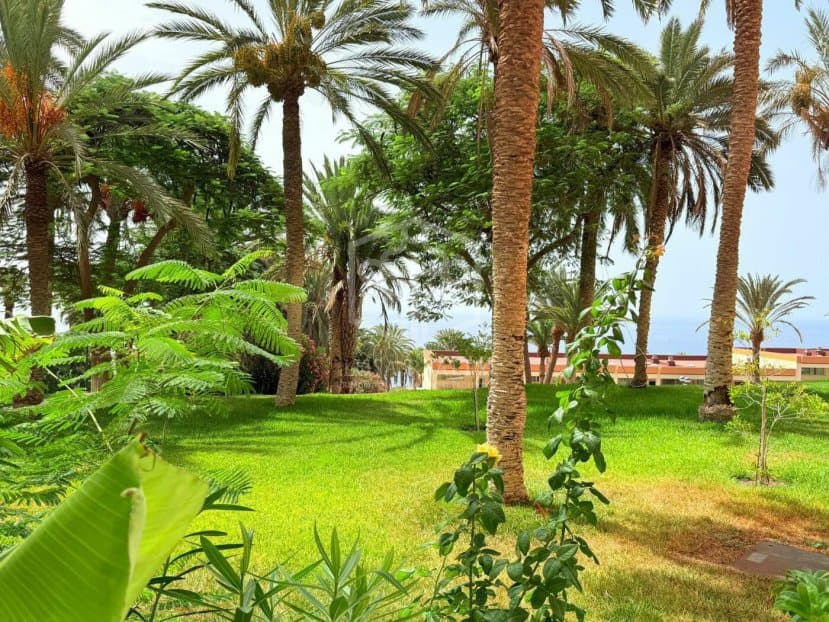 Appartamento a Adeje, Tenerife, Spagna 3 camere da letto, 495 mq. N° 154458