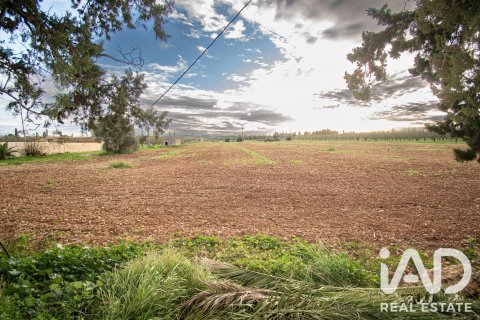 Land plot in Llubi, Mallorca, Spain 14787 sq.m. No. 196512