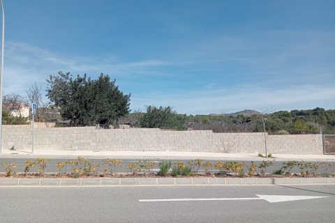 Land plot in Calpe, Alicante, Spain 1100 sq.m. No. 97588