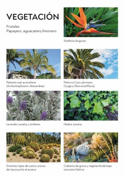 Land plot in Guia de Isora, Tenerife, Spain No. 164768