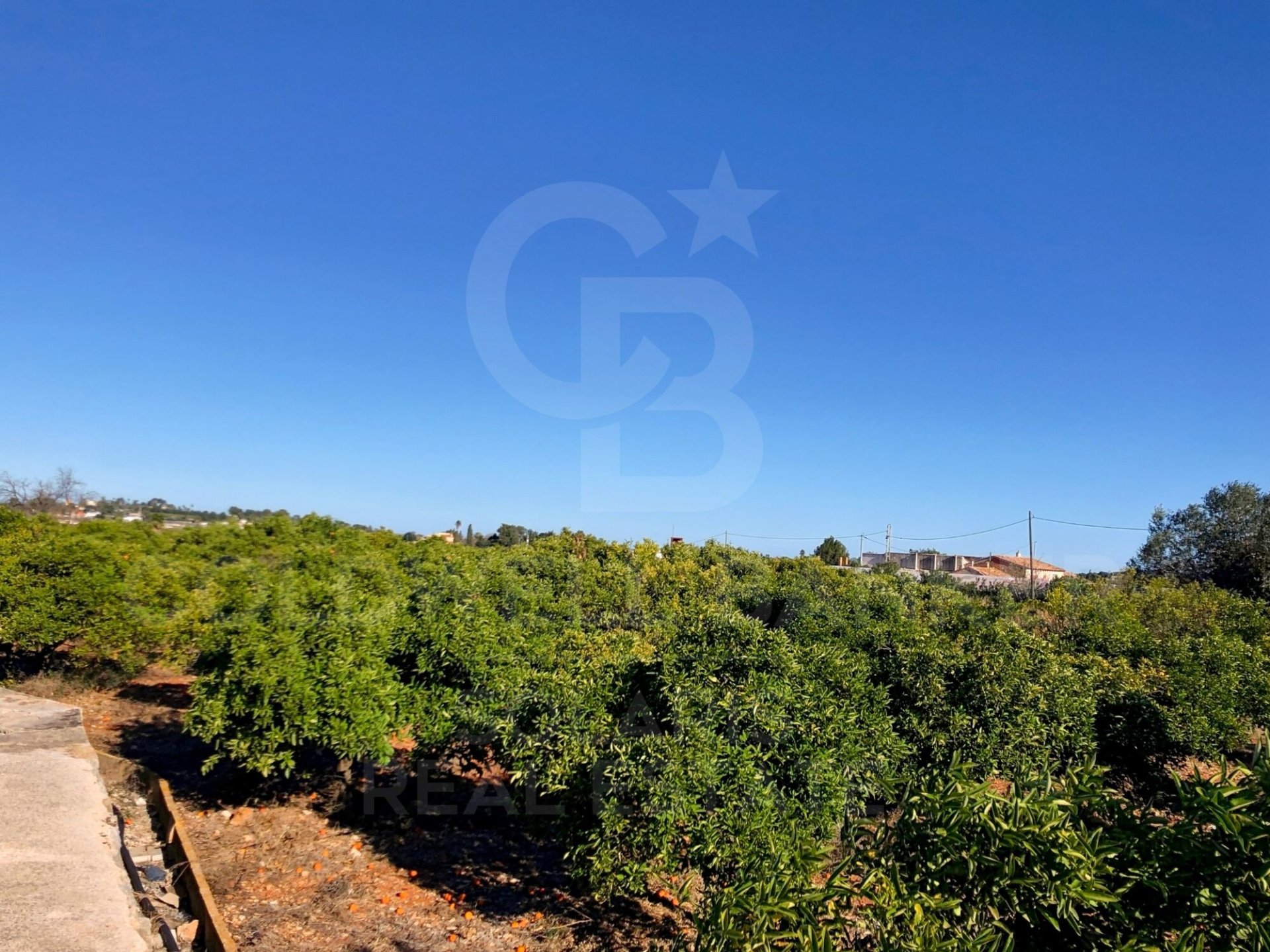 Parcela en Dénia, Alicante, España 27000 m2 No. 160215