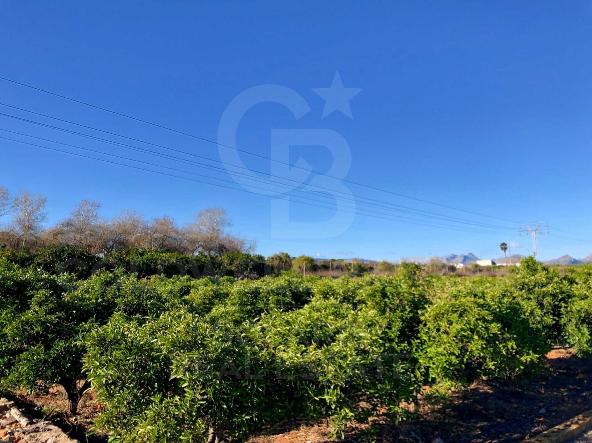 Parcela en Dénia, Alicante, España 27000 m2 No. 160215