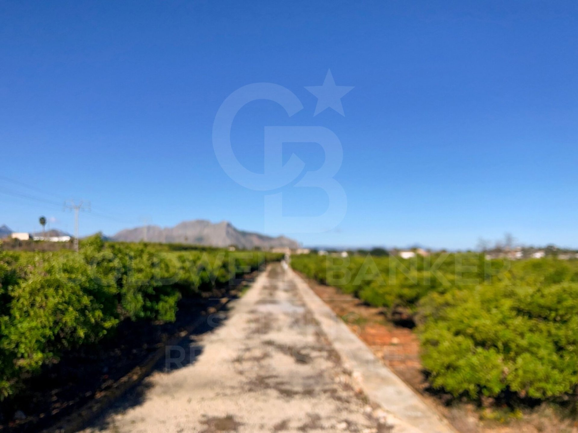 Parcela en Dénia, Alicante, España 27000 m2 No. 160215