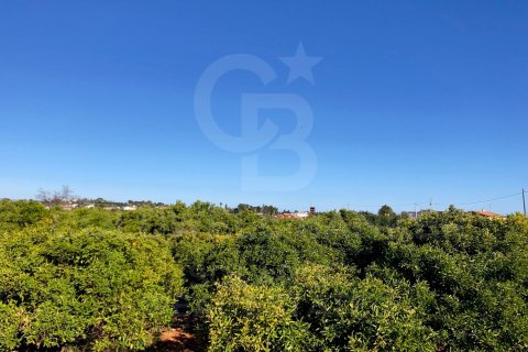 Land plot in Denia, Alicante, Spain 27000 sq.m. No. 160215