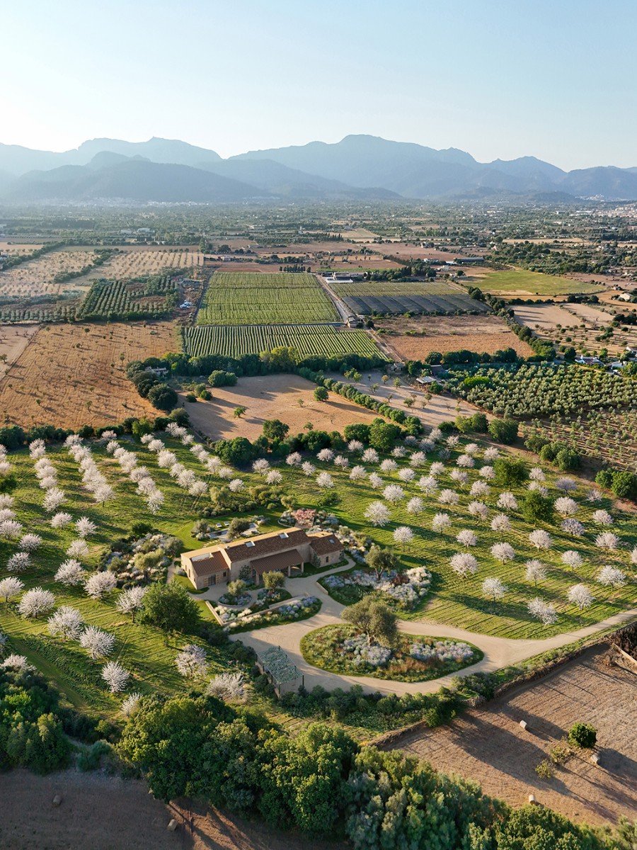 Villa in Binissalem, Mallorca, Spain 4 bedrooms, 430 sq.m. No. 143436