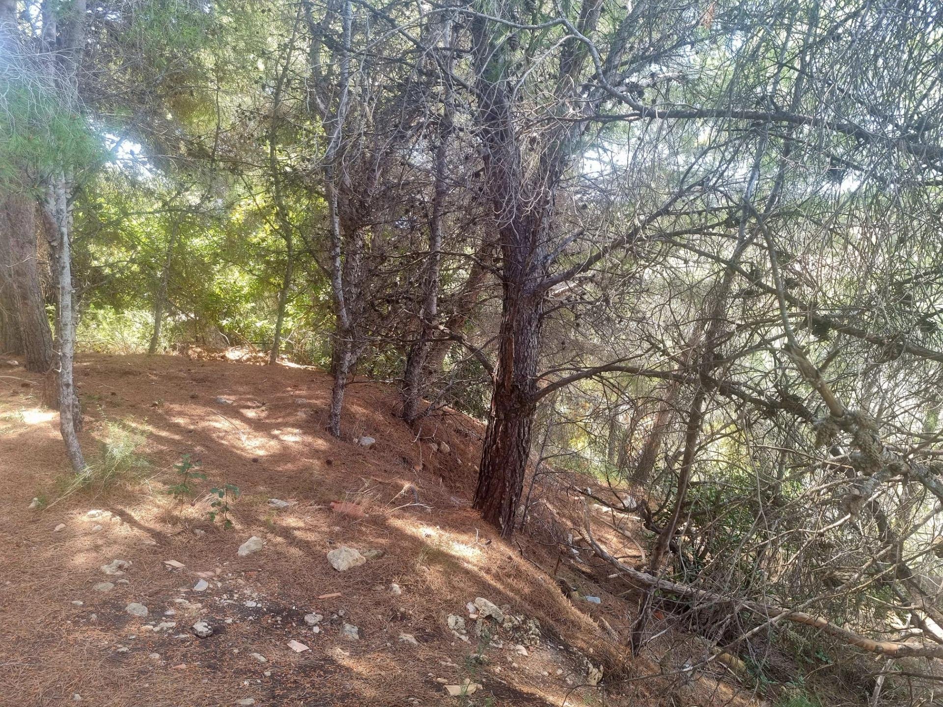 Parcela en Galera de las Palmeras, Alicante, España No. 165542