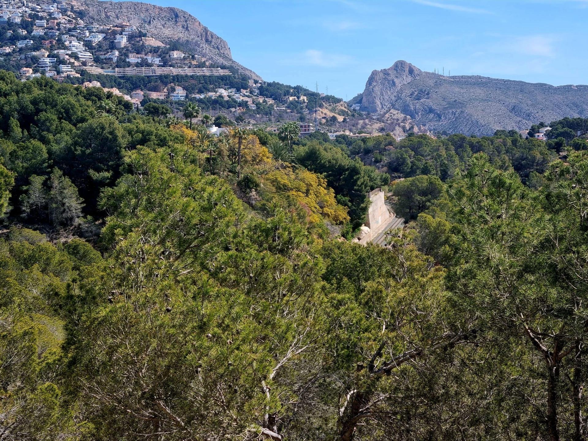 Parcela en Galera de las Palmeras, Alicante, España No. 165542