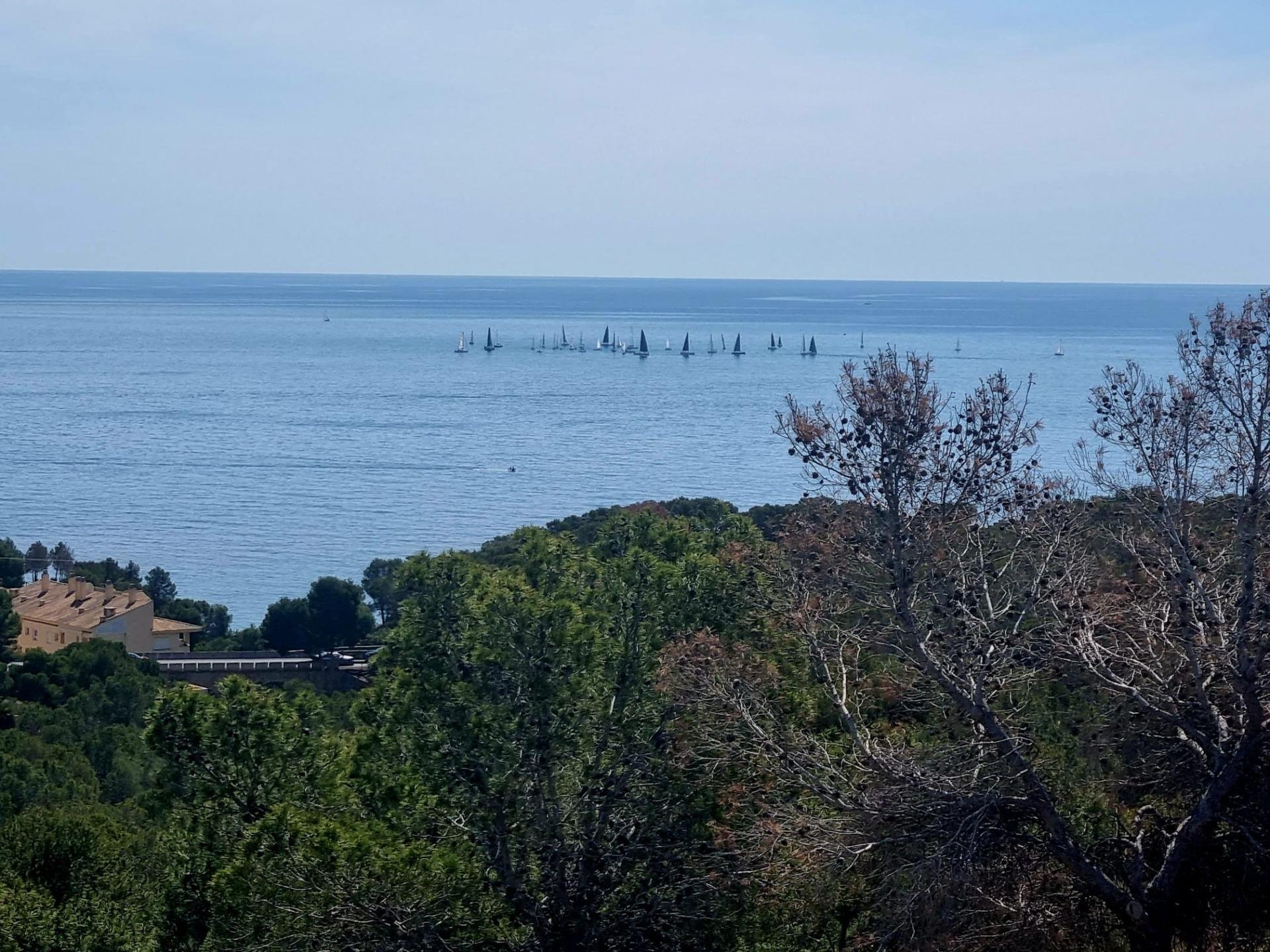 Parcela en Galera de las Palmeras, Alicante, España No. 165542