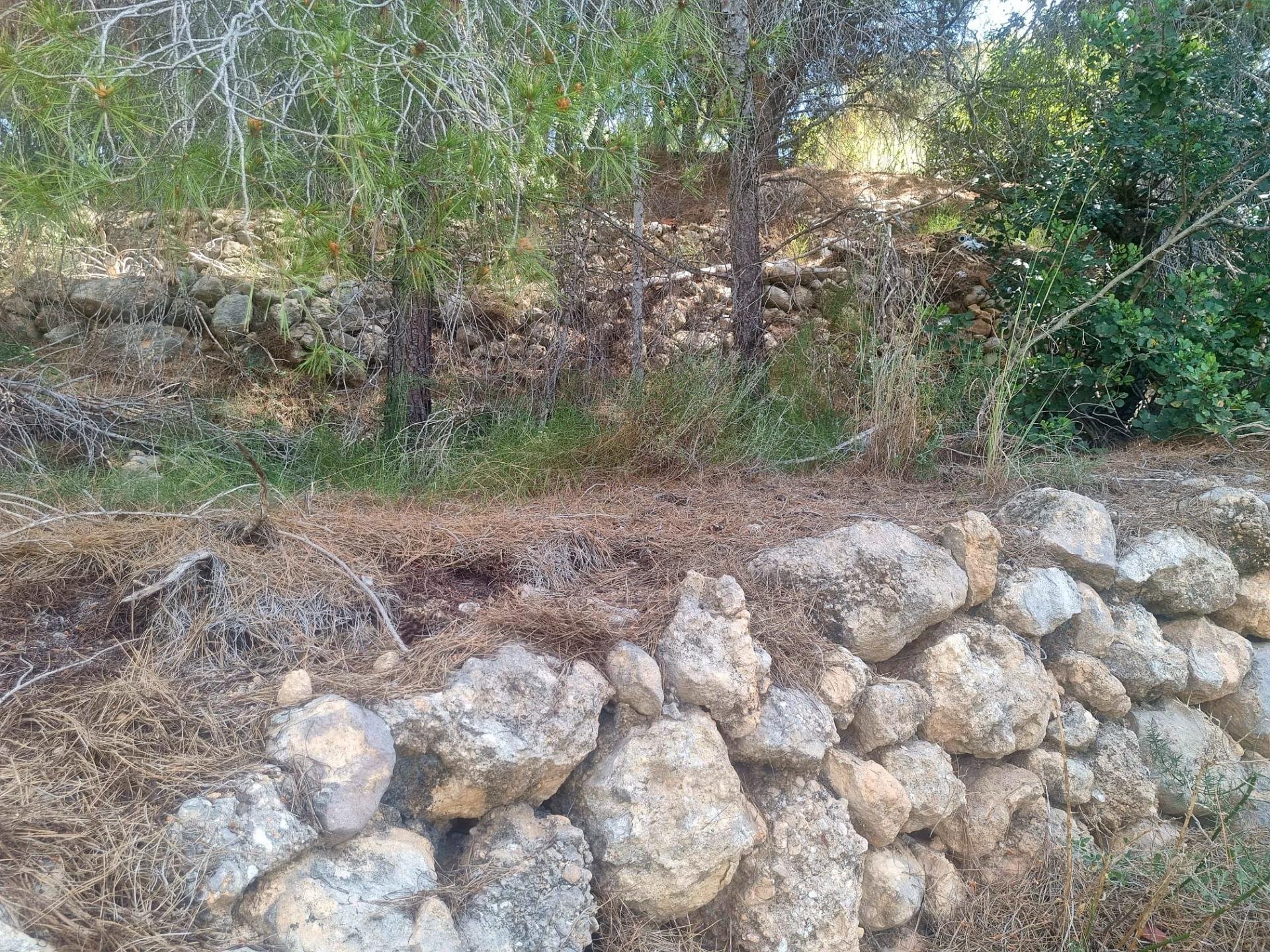 Parcela en Galera de las Palmeras, Alicante, España No. 165542