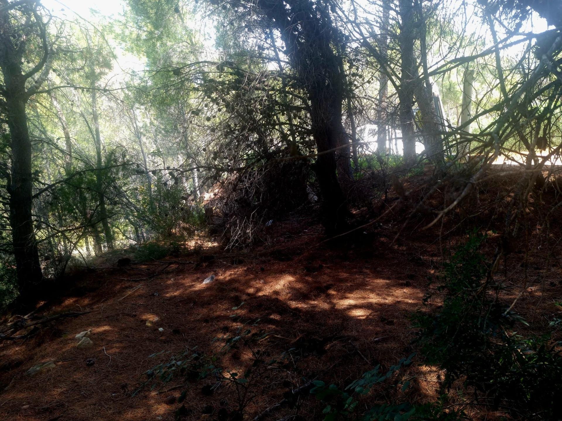 Parcela en Galera de las Palmeras, Alicante, España No. 165542
