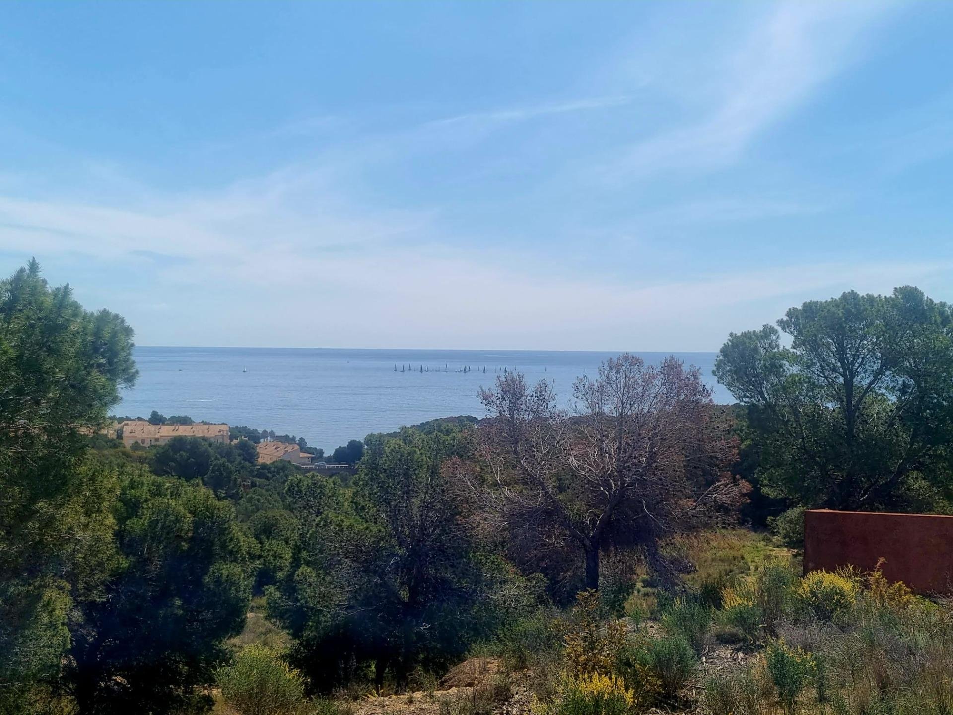 Parcela en Galera de las Palmeras, Alicante, España No. 165542