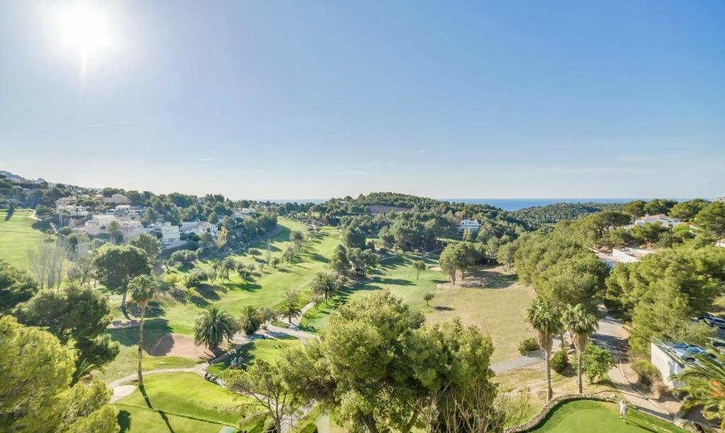 Parcela en Galera de las Palmeras, Alicante, España No. 165542