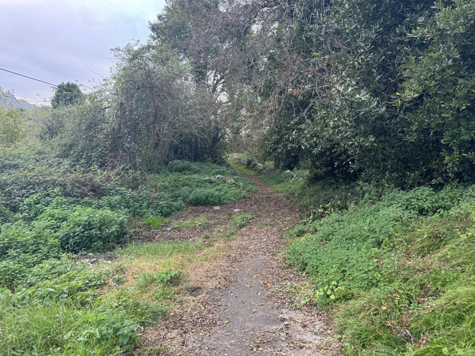 Land plot à Llanes, Asturias, Espagne 82 m2 No. 168775