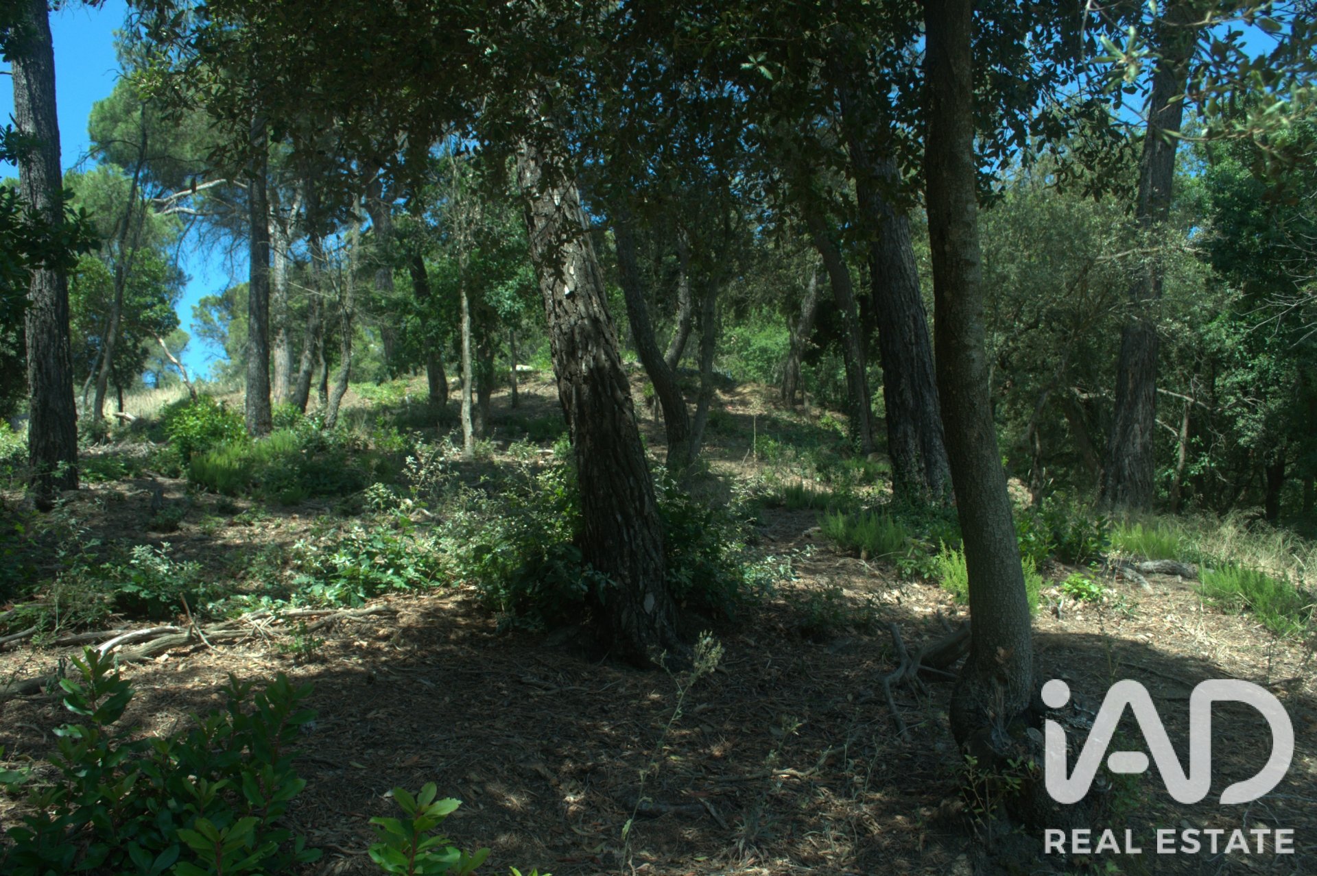 Land plot in Sant Cugat Del Valles, Barcelona, Spain 1029 sq.m. No. 188090