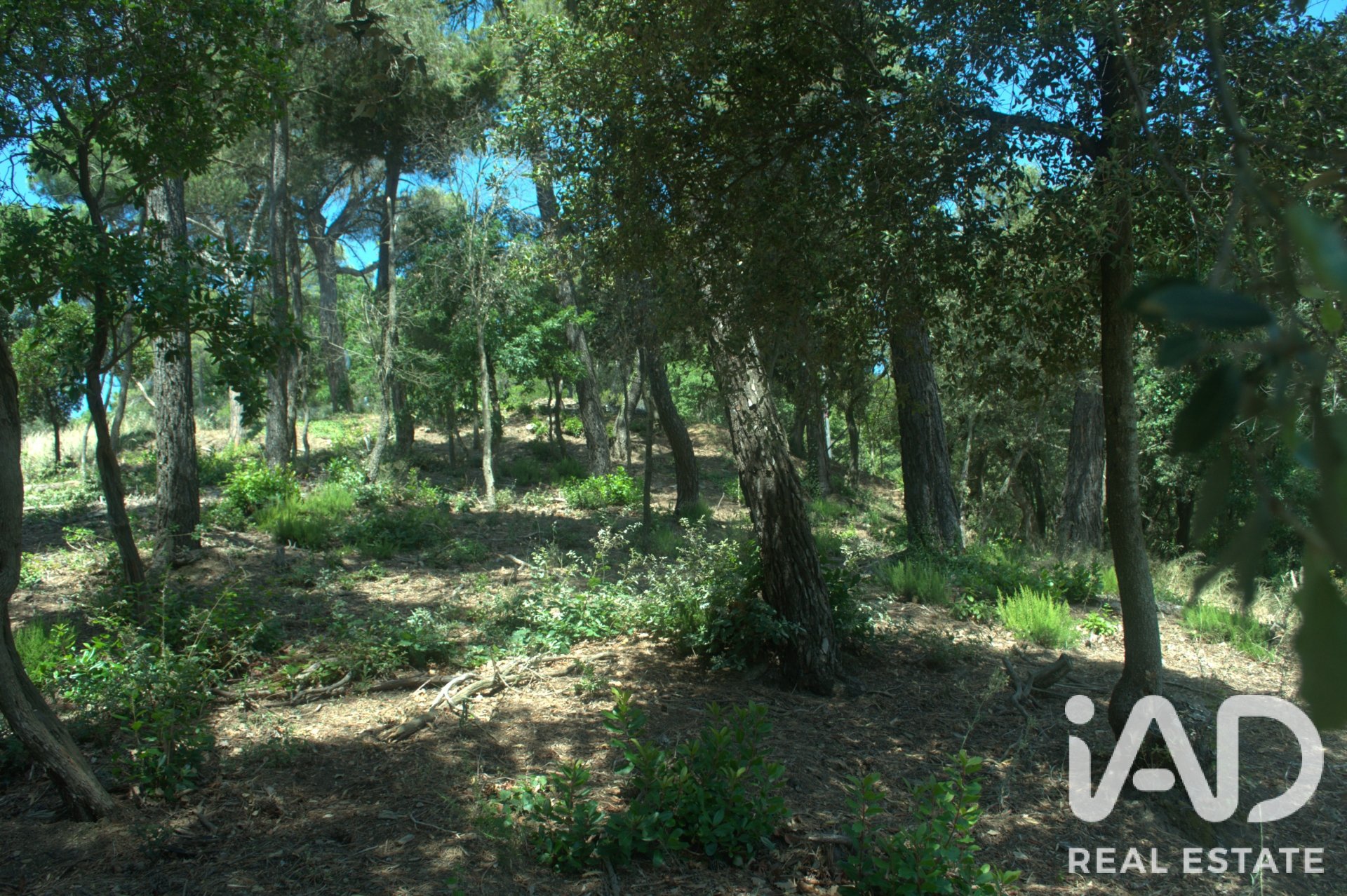 Land plot in Sant Cugat Del Valles, Barcelona, Spain 1029 sq.m. No. 188090