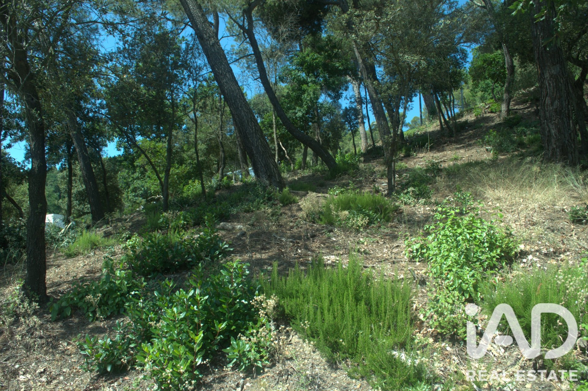 Land plot in Sant Cugat Del Valles, Barcelona, Spain 1029 sq.m. No. 188090