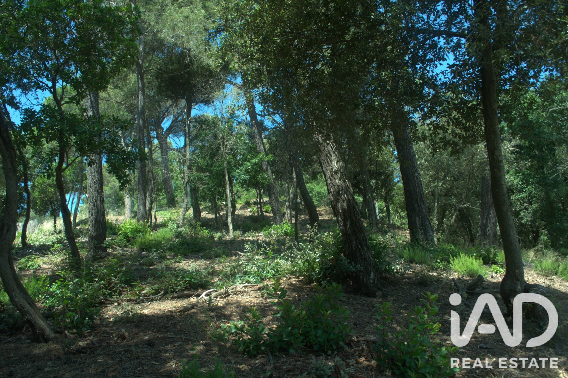 Land plot in Sant Cugat Del Valles, Barcelona, Spain 1029 sq.m. No. 188090