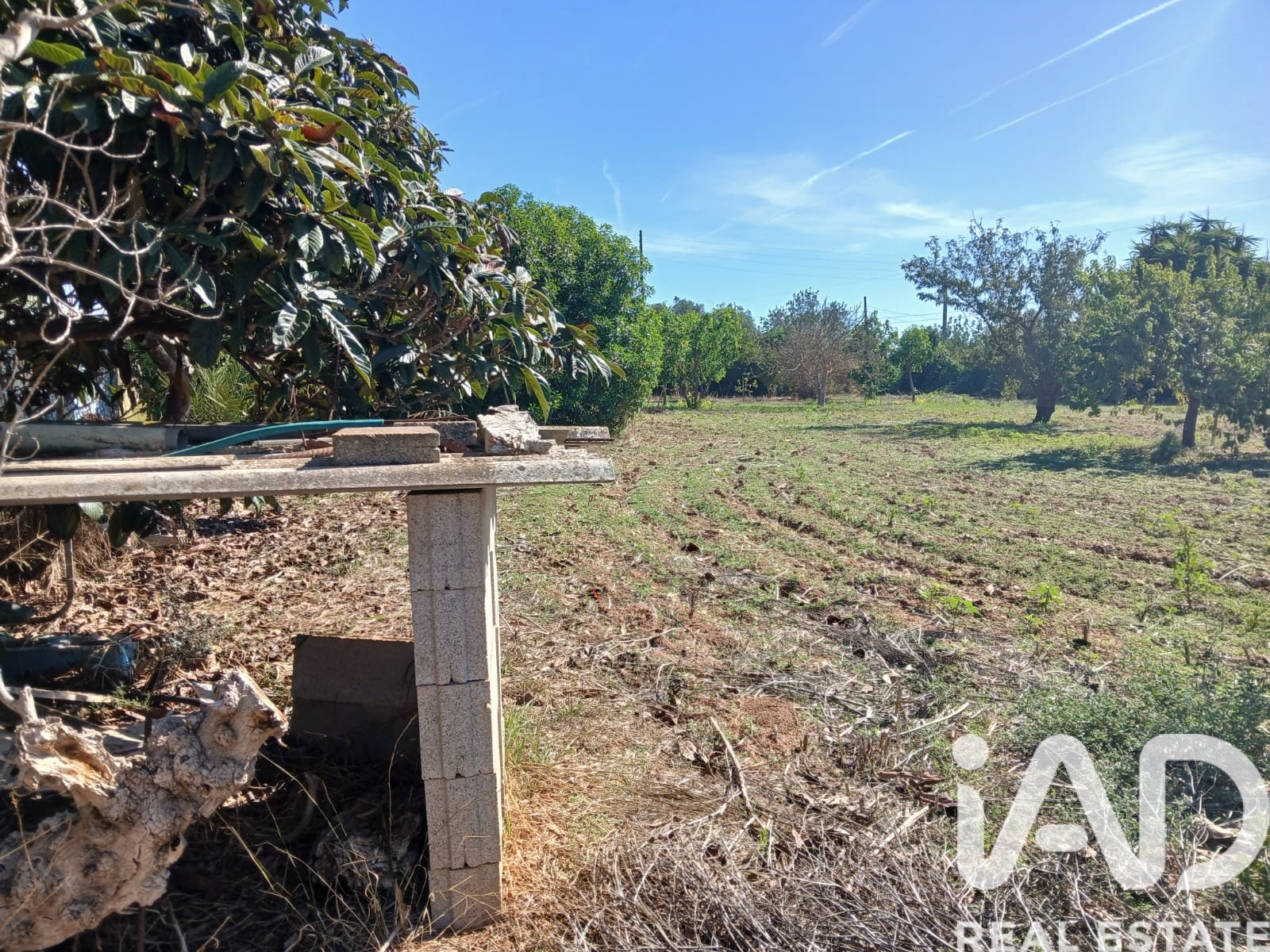 Talo Inca, Mallorca, Espanja 3 makuuhuonetta, 110 m2 No. 195792