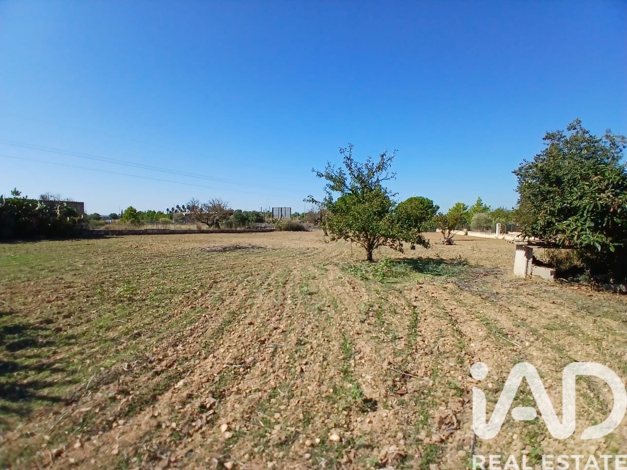 Talo Inca, Mallorca, Espanja 3 makuuhuonetta, 110 m2 No. 195792