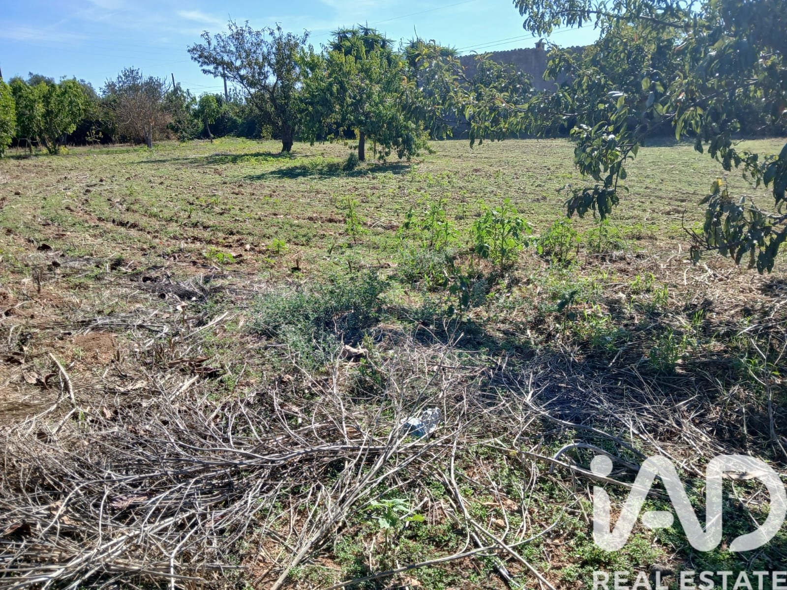 Talo Inca, Mallorca, Espanja 3 makuuhuonetta, 110 m2 No. 195792