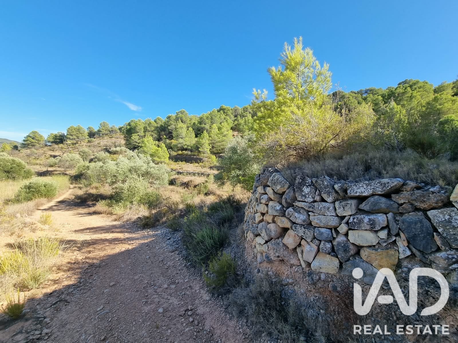 Land plot à El Pinell de Brai, Tarragona, Espagne 12207 m2 No. 196565