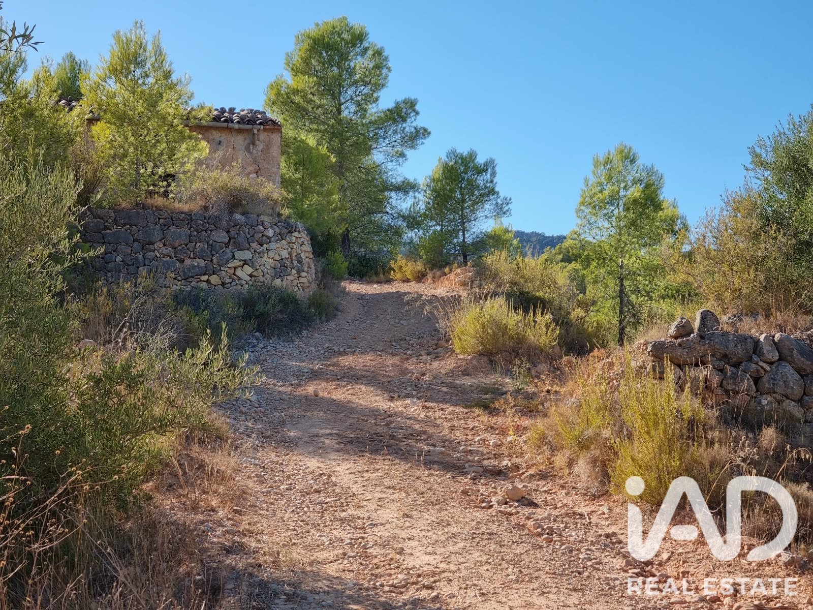 Land plot à El Pinell de Brai, Tarragona, Espagne 12207 m2 No. 196565