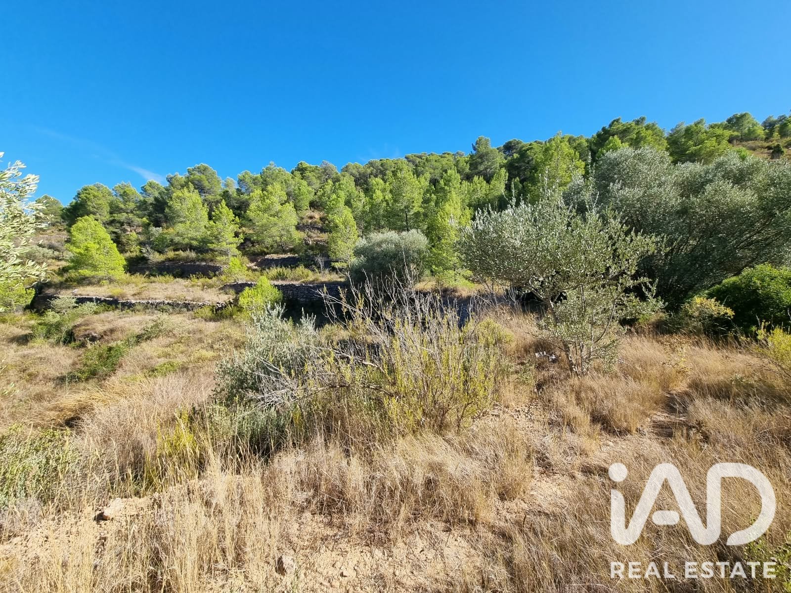 Land plot à El Pinell de Brai, Tarragona, Espagne 12207 m2 No. 196565