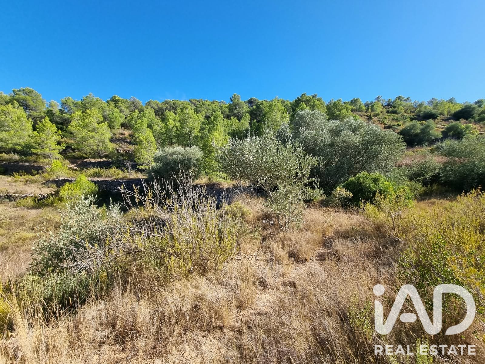 Land plot à El Pinell de Brai, Tarragona, Espagne 12207 m2 No. 196565