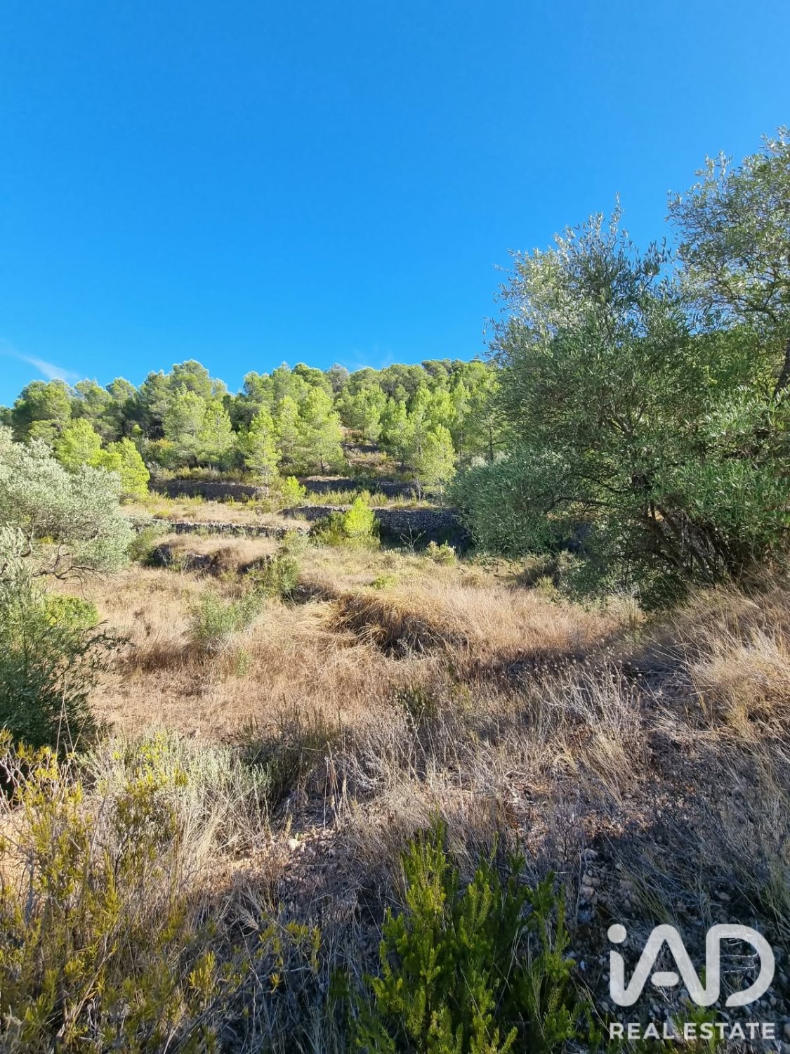 Land plot à El Pinell de Brai, Tarragona, Espagne 12207 m2 No. 196565