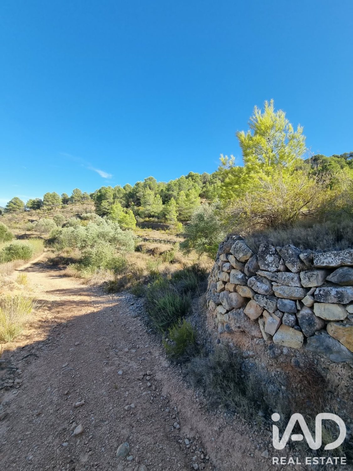 Land plot à El Pinell de Brai, Tarragona, Espagne 12207 m2 No. 196565