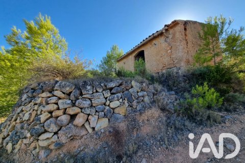 Terreno a El Pinell de Brai, Tarragona, Spagna 12207 mq. N° 196565