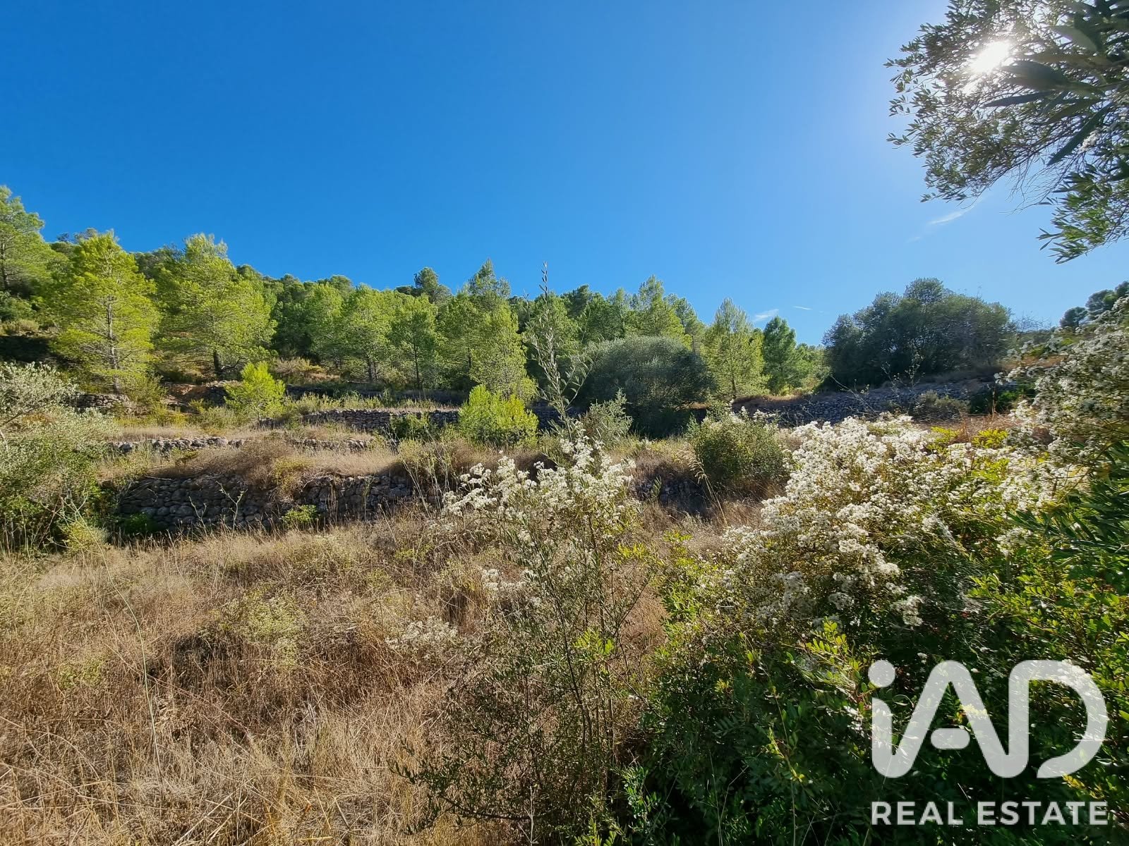 Land plot à El Pinell de Brai, Tarragona, Espagne 12207 m2 No. 196565