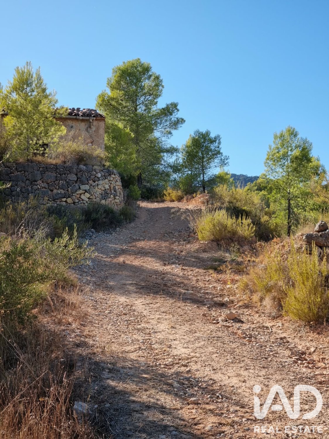 Land plot à El Pinell de Brai, Tarragona, Espagne 12207 m2 No. 196565