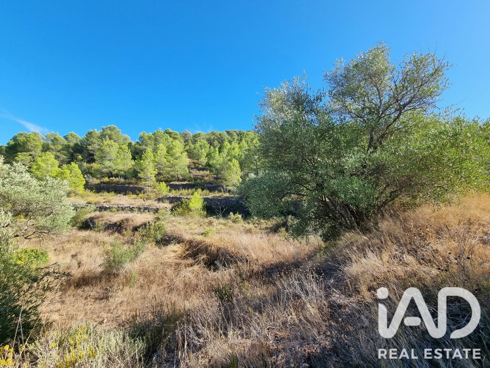 Land plot à El Pinell de Brai, Tarragona, Espagne 12207 m2 No. 196565
