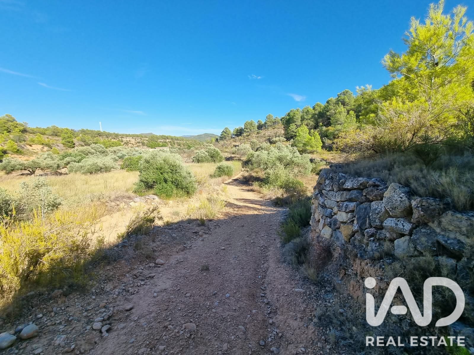 Land plot à El Pinell de Brai, Tarragona, Espagne 12207 m2 No. 196565