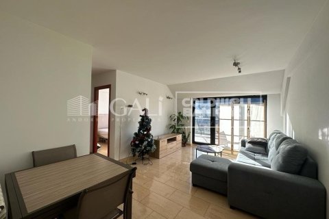 Apartment à Principado De Andorra (Ninguna Poblacion Tiene C.P.), Lleida, Espagne 2 chambres, 75 m2 No. 178412