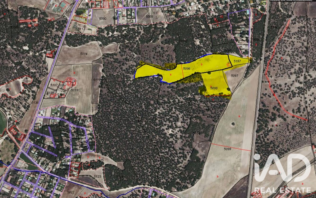 Zemes gabals Medina del Campo, Valladolid, Spānijā 82000 m2 Nr. 196642