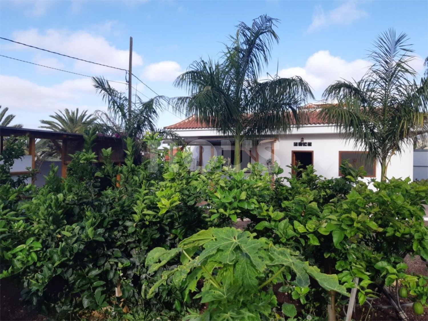 Villa en Buzanada, Tenerife, España 4 dormitorios, 160 m2 No. 102971