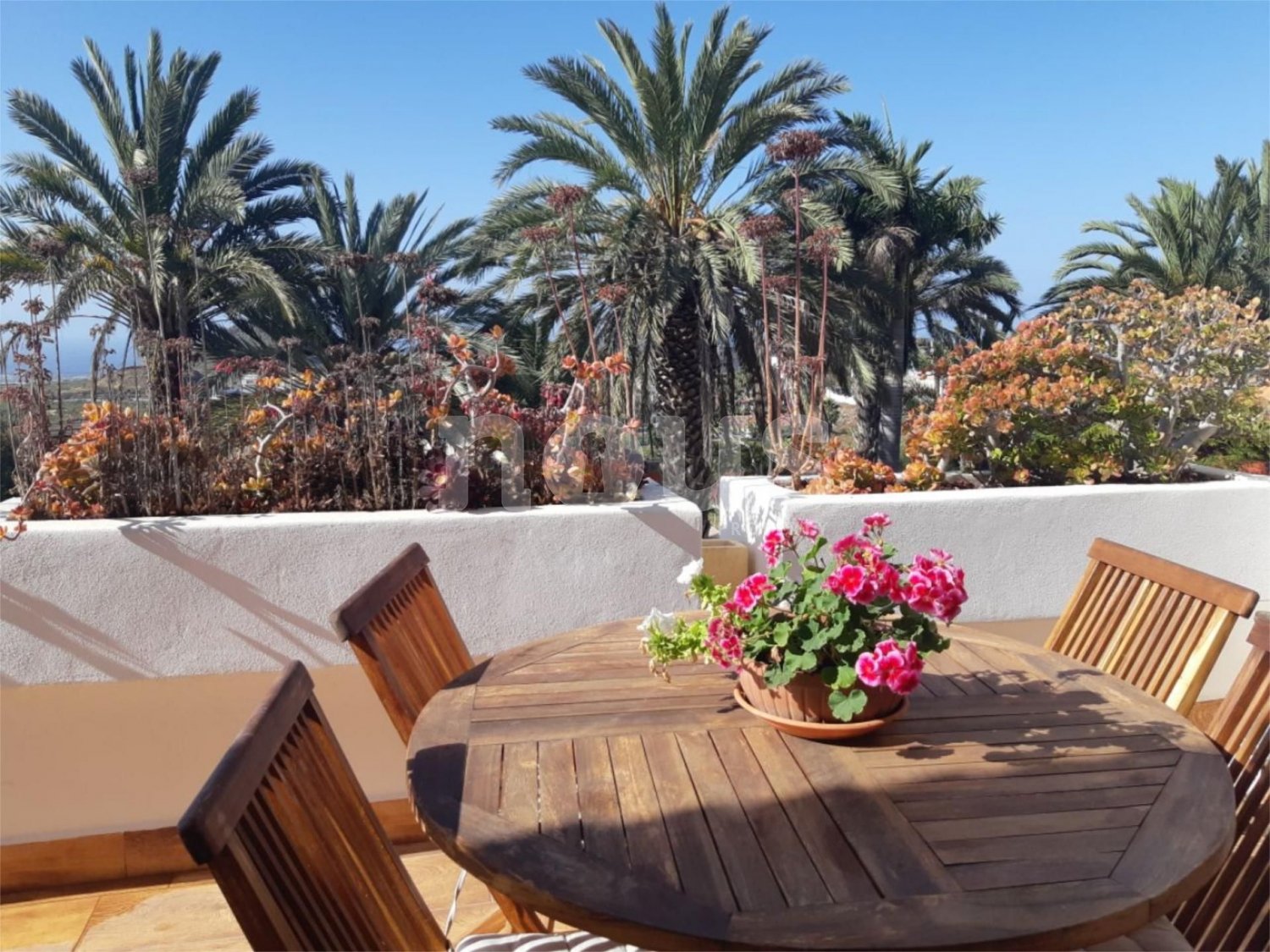 Villa en Buzanada, Tenerife, España 4 dormitorios, 160 m2 No. 102971